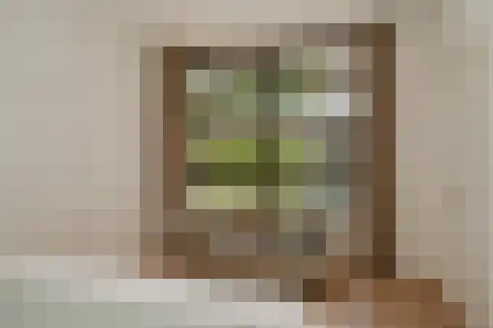 Meliestraat 42 Vlijmen thumbnail 24