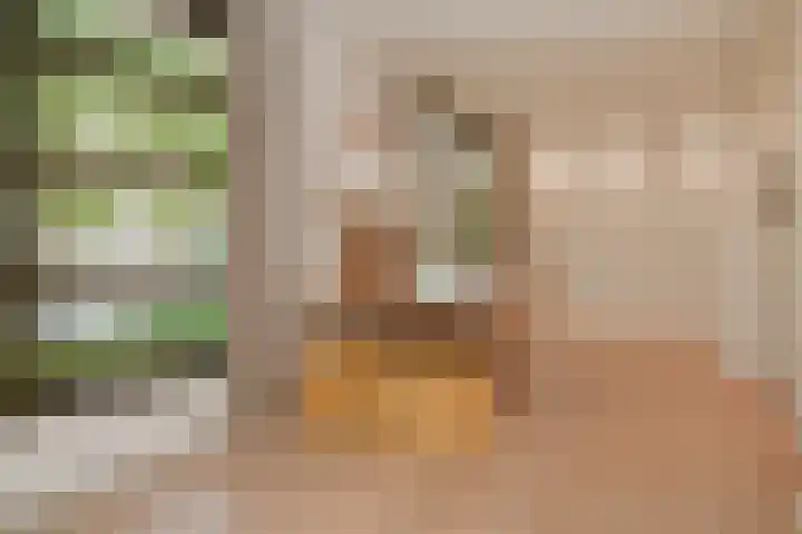 Meliestraat 42 Vlijmen thumbnail 28