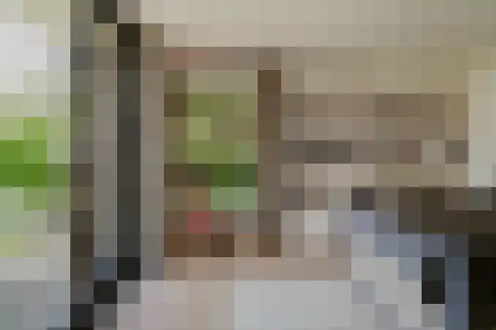 Meliestraat 42 Vlijmen thumbnail 29