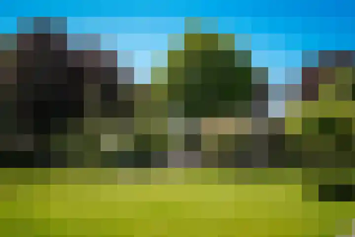 Meliestraat 42 Vlijmen thumbnail 32