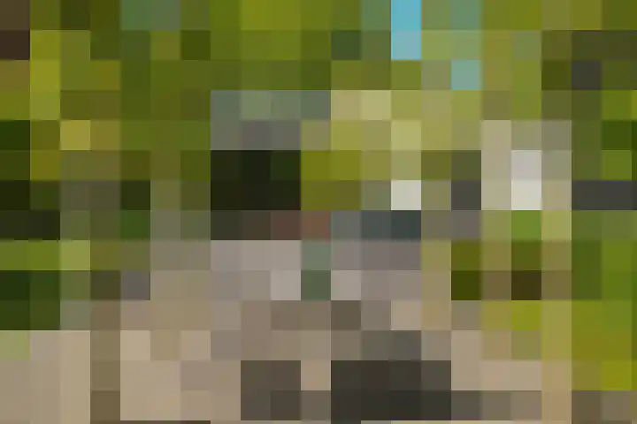 Meliestraat 42 Vlijmen thumbnail 33