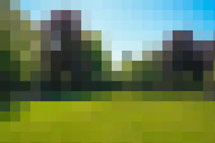 Meliestraat 42 Vlijmen thumbnail 34