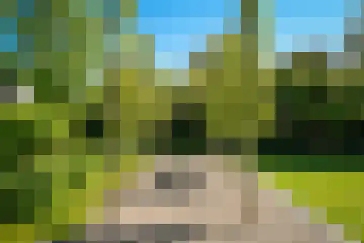 Meliestraat 42 Vlijmen thumbnail 35