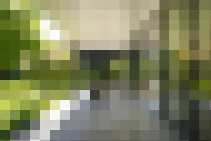 Meliestraat 42 Vlijmen thumbnail 36