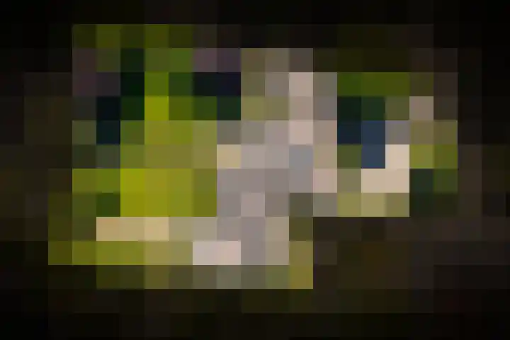 Meliestraat 42 Vlijmen thumbnail 47
