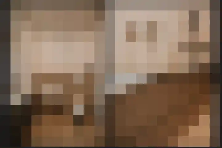 Meliestraat 42 Vlijmen thumbnail 7
