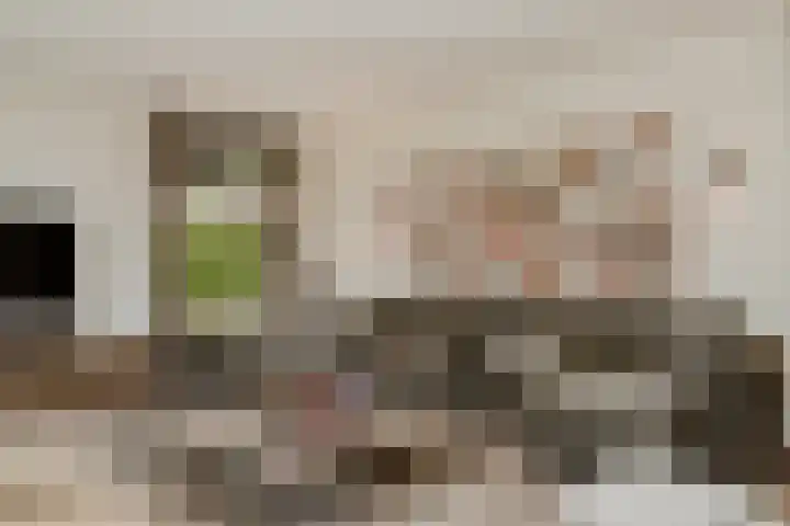 Meliestraat 42 Vlijmen thumbnail 9