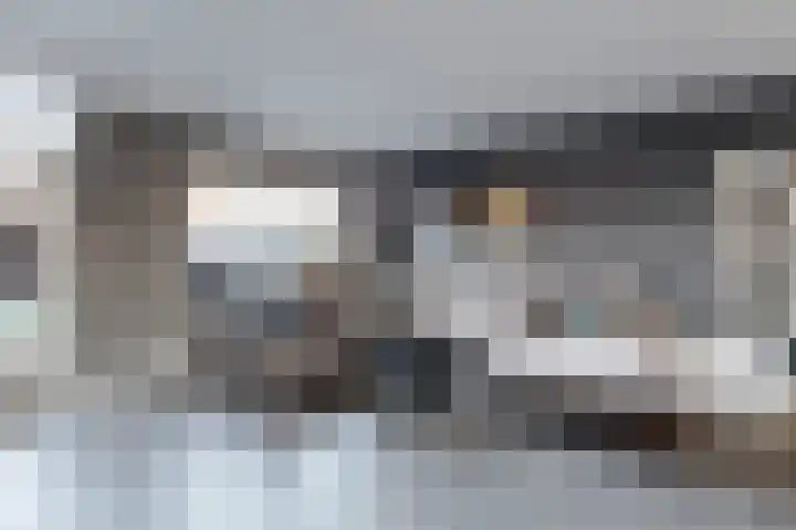 Melijn 20 Zevenbergen thumbnail 12