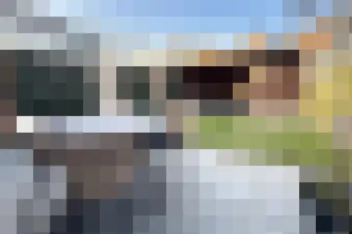 Melijn 20 Zevenbergen thumbnail 46