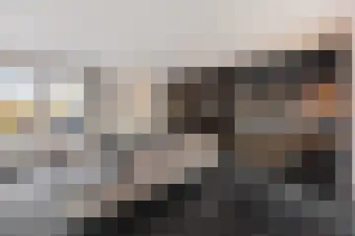 Melingstraat 27 Afferden L thumbnail 11