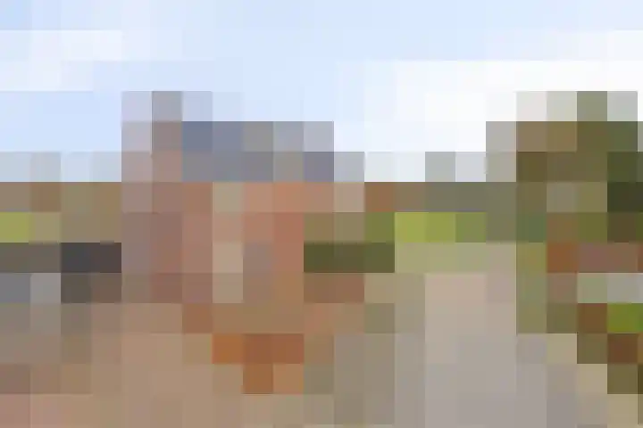 Melingstraat 27 Afferden L thumbnail 39