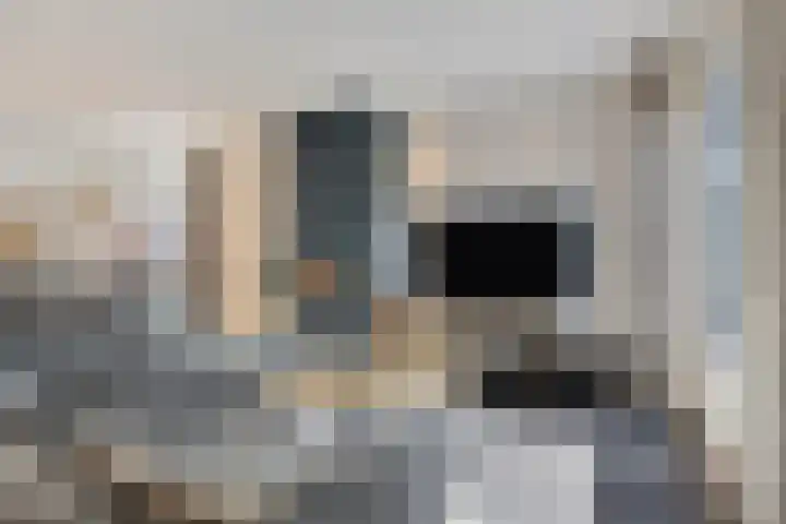 Melingstraat 27 Afferden L thumbnail 9