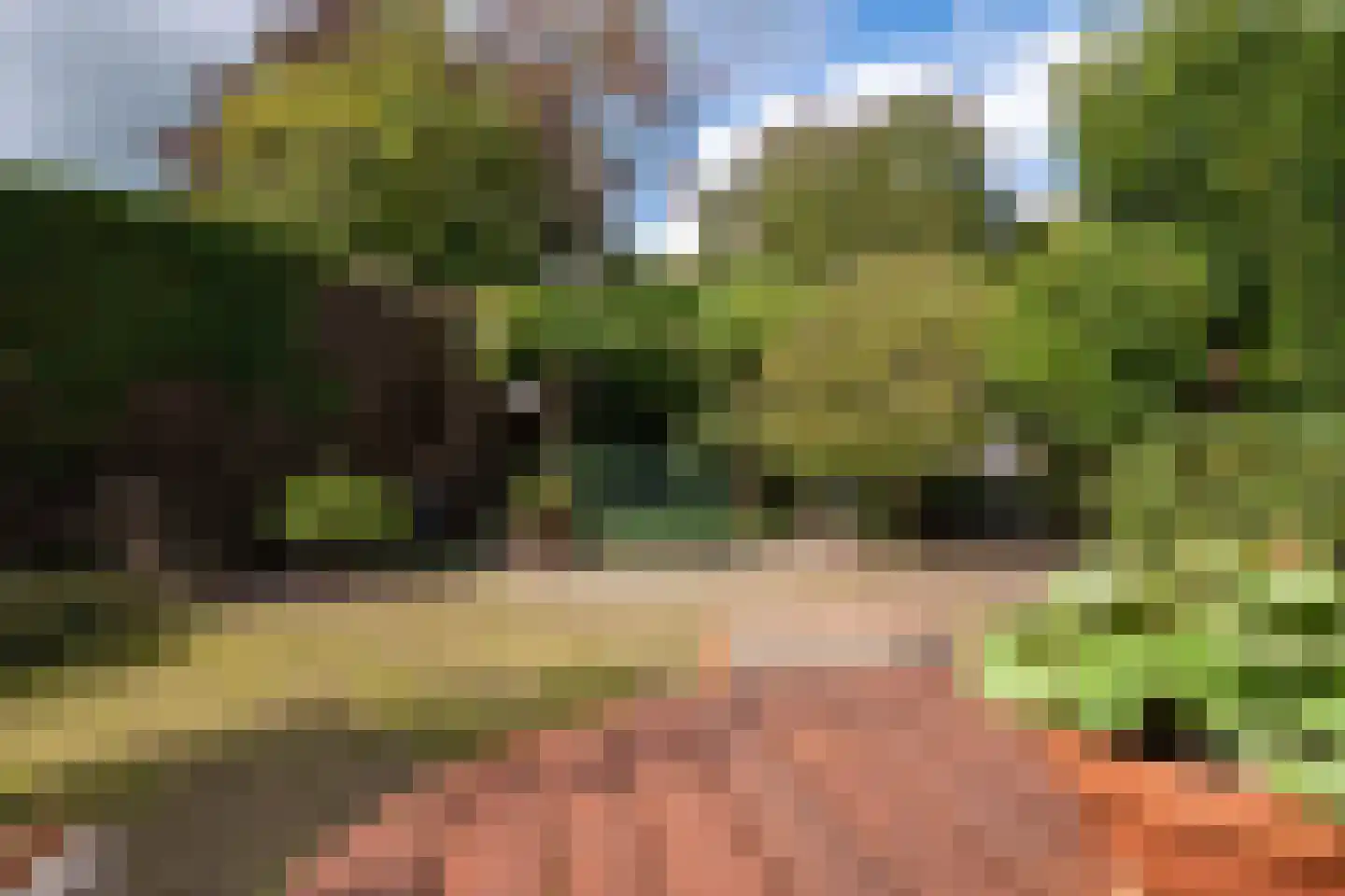 Melis Blecklaan 13 Woensdrecht thumbnail 34
