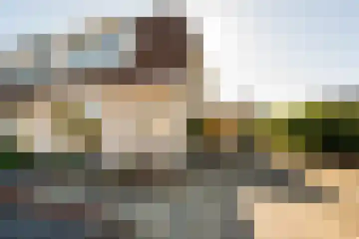Melis Blecklaan 6 Woensdrecht thumbnail 32