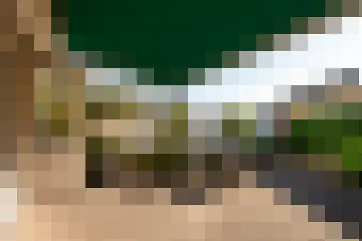 Melis Blecklaan 6 Woensdrecht thumbnail 5