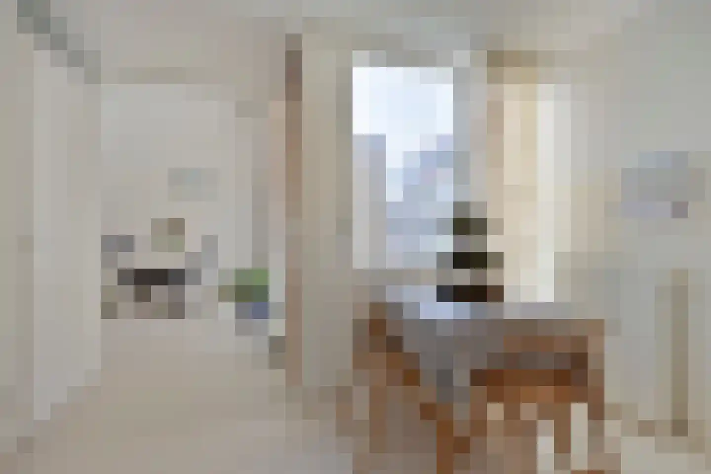 Melis Stokehof 46 Amsterdam thumbnail 27