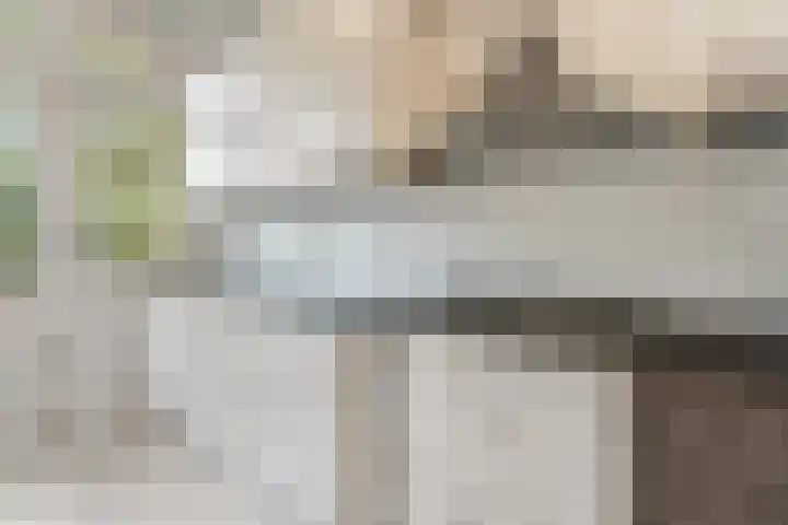 Melis Stokelaan 103 Den Haag thumbnail 13