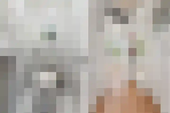Melis Stokelaan 103 Den Haag thumbnail 14