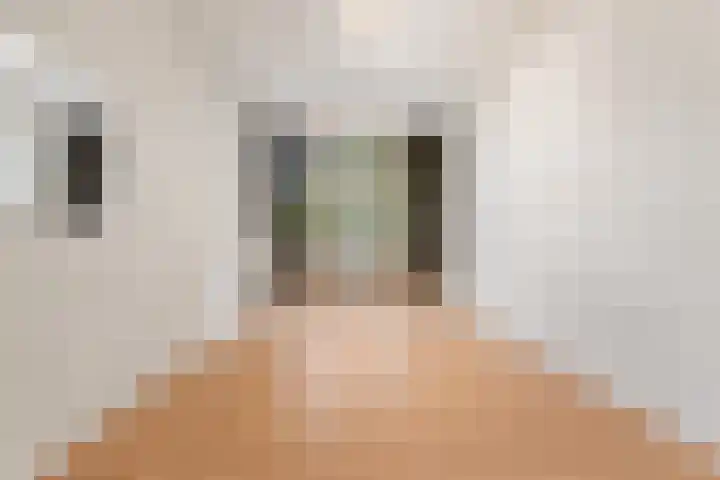 Melis Stokelaan 103 Den Haag thumbnail 15
