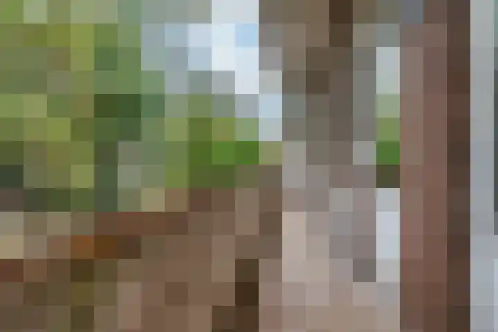 Melis Stokelaan 103 Den Haag thumbnail 18