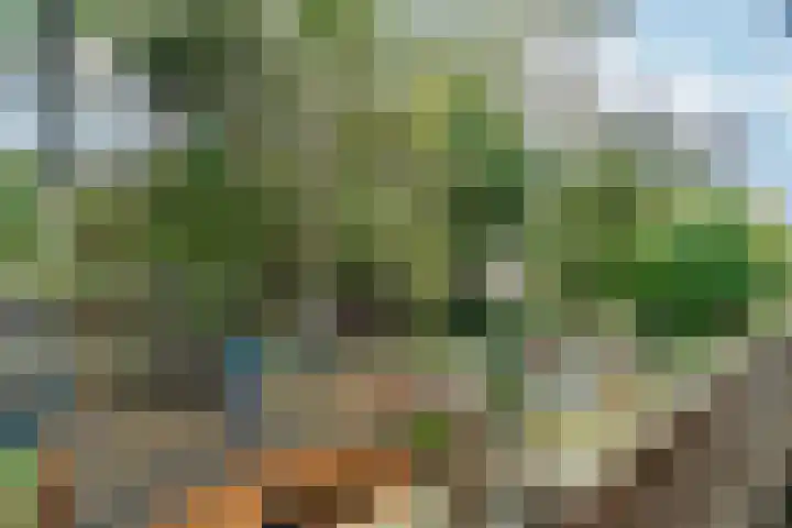 Melis Stokelaan 103 Den Haag thumbnail 19
