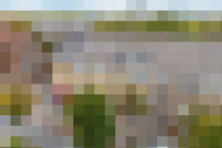 Melis Stokelaan 103 Den Haag thumbnail 27