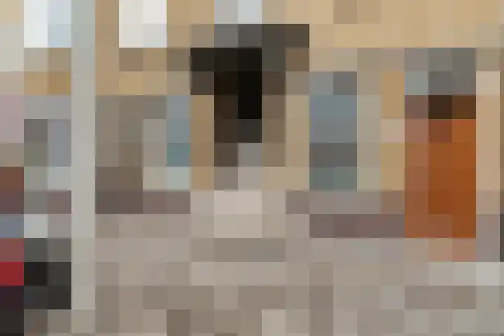 Melis Stokelaan 103 Den Haag thumbnail 5