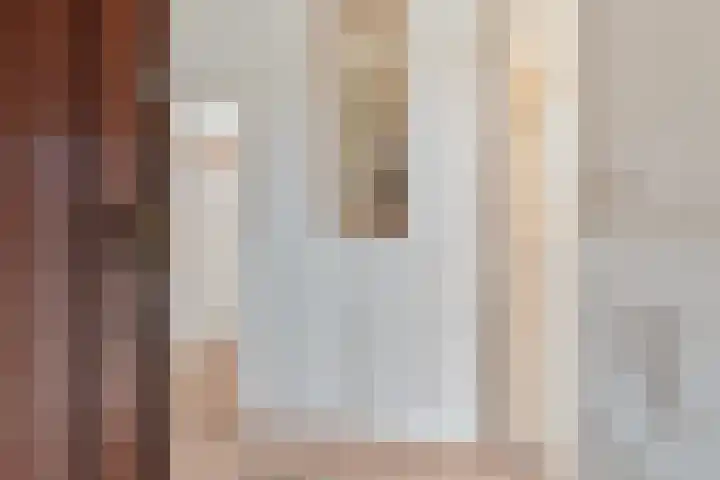 Melis Stokelaan 103 Den Haag thumbnail 7