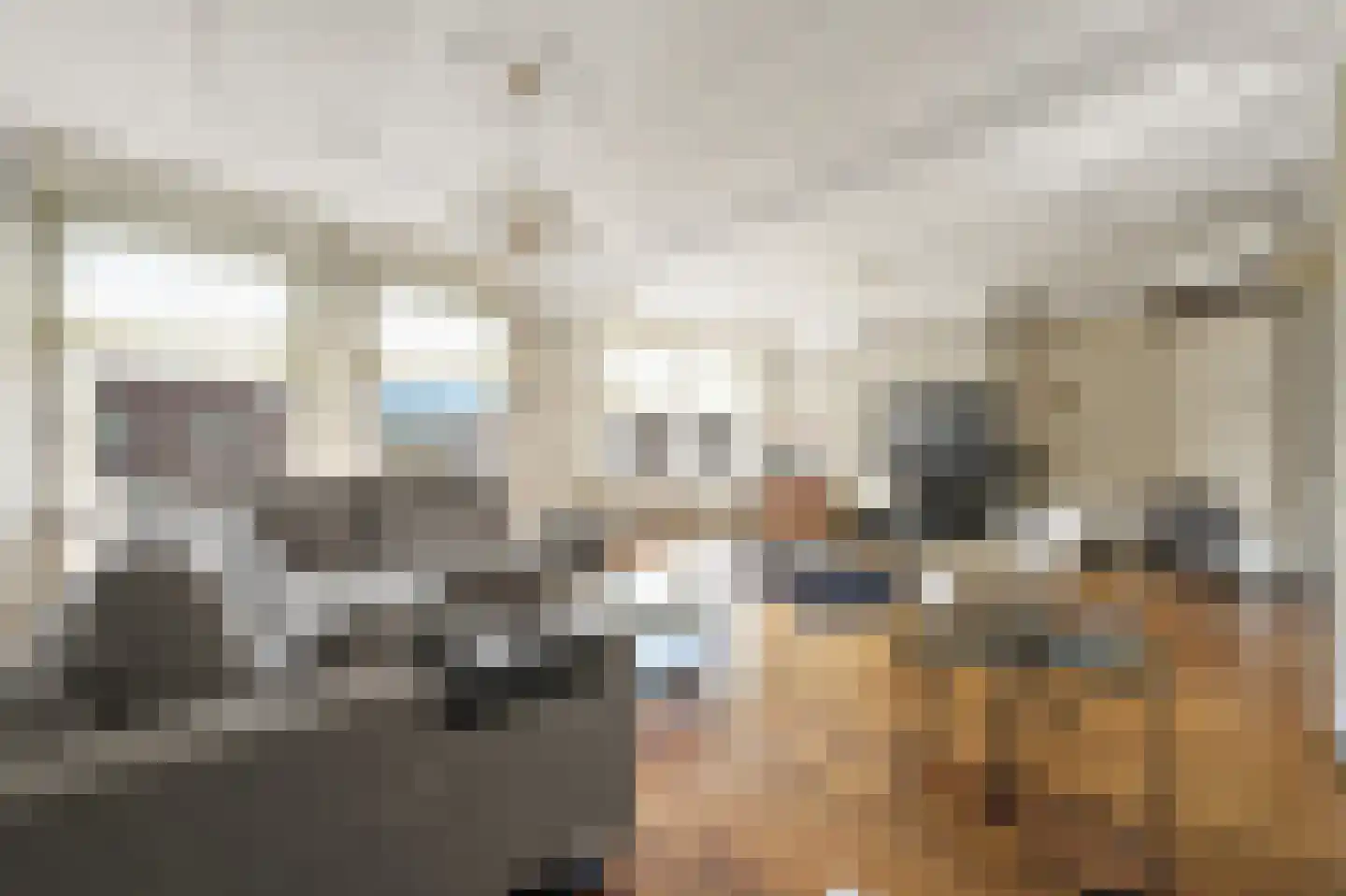 Melis Stokelaan 107 Den Haag thumbnail 12