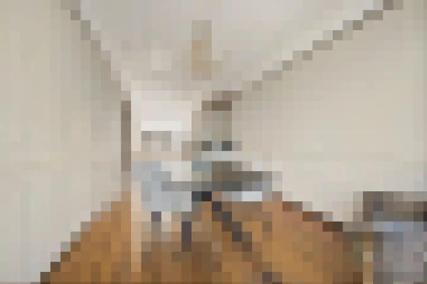 Melis Stokelaan 107 Den Haag thumbnail 17