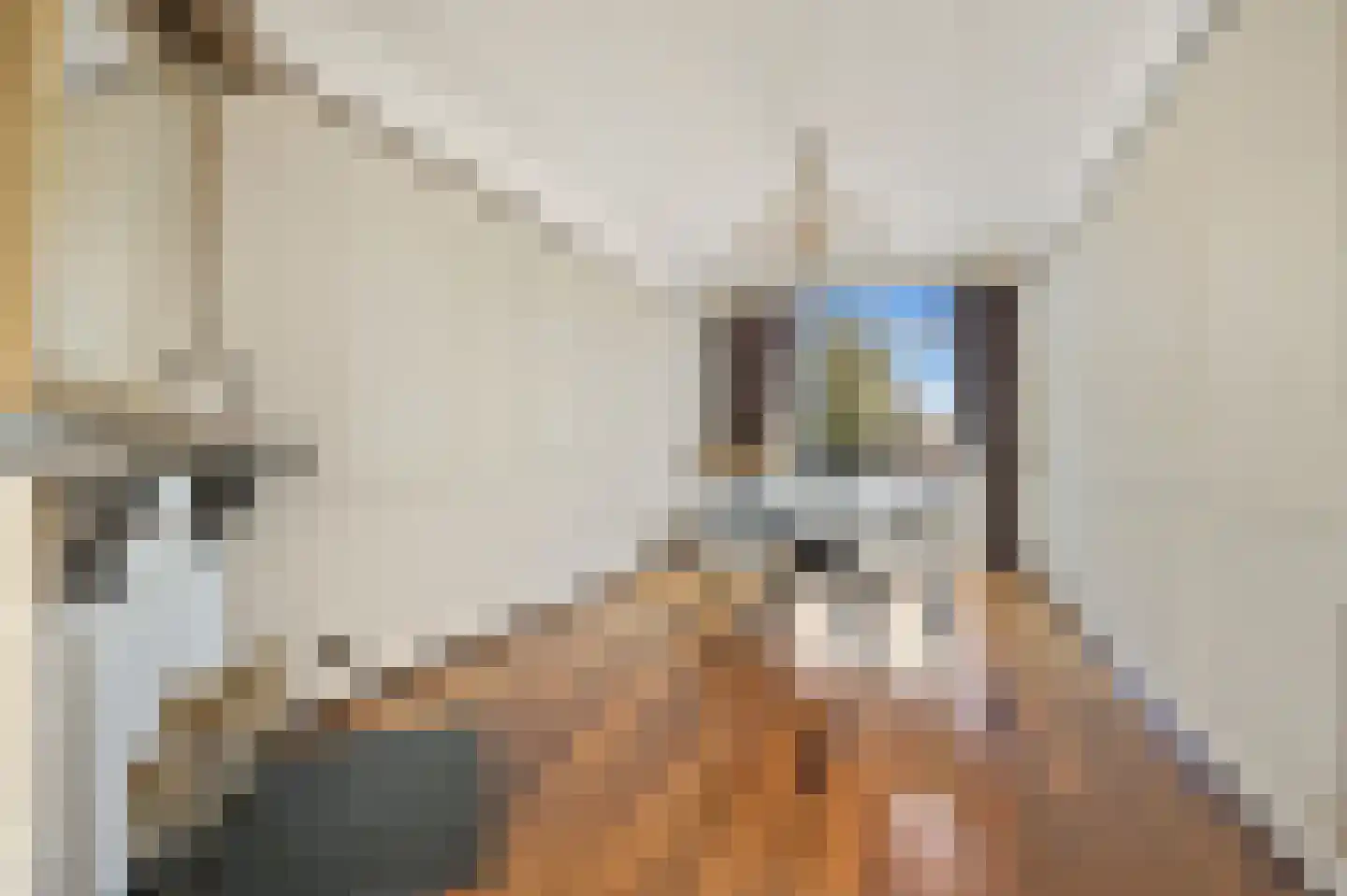 Melis Stokelaan 107 Den Haag thumbnail 18