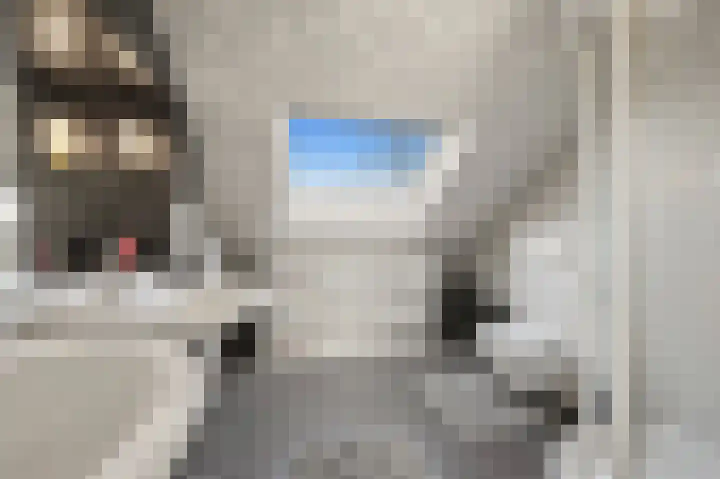 Melis Stokelaan 107 Den Haag thumbnail 5