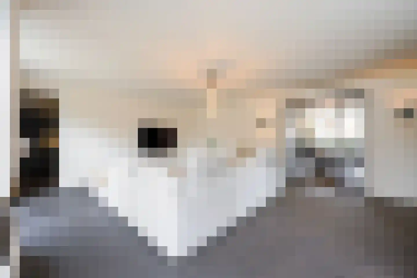 Melis Stokelaan 11 Beverwijk thumbnail 14