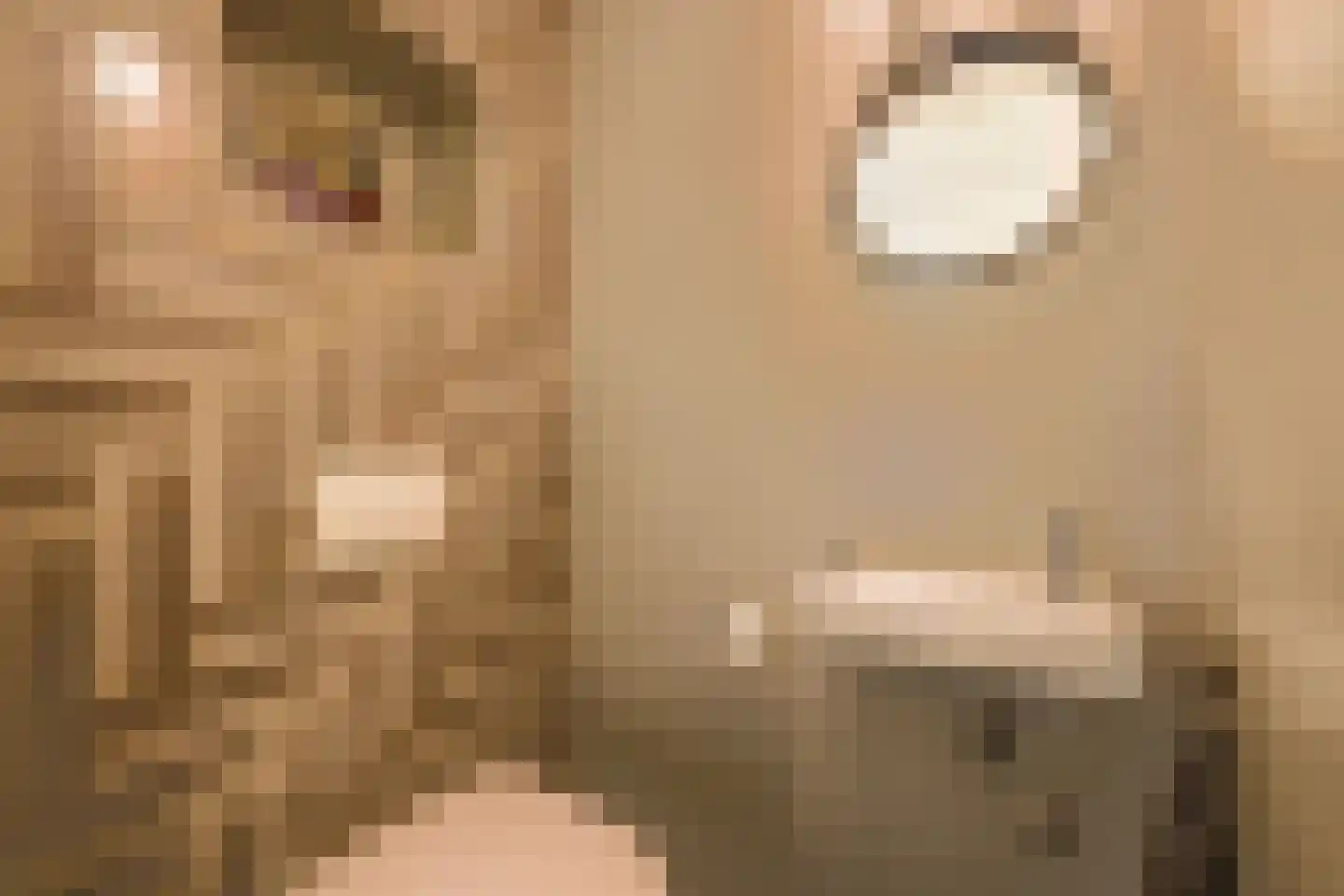 Melis Stokelaan 11 Beverwijk thumbnail 31