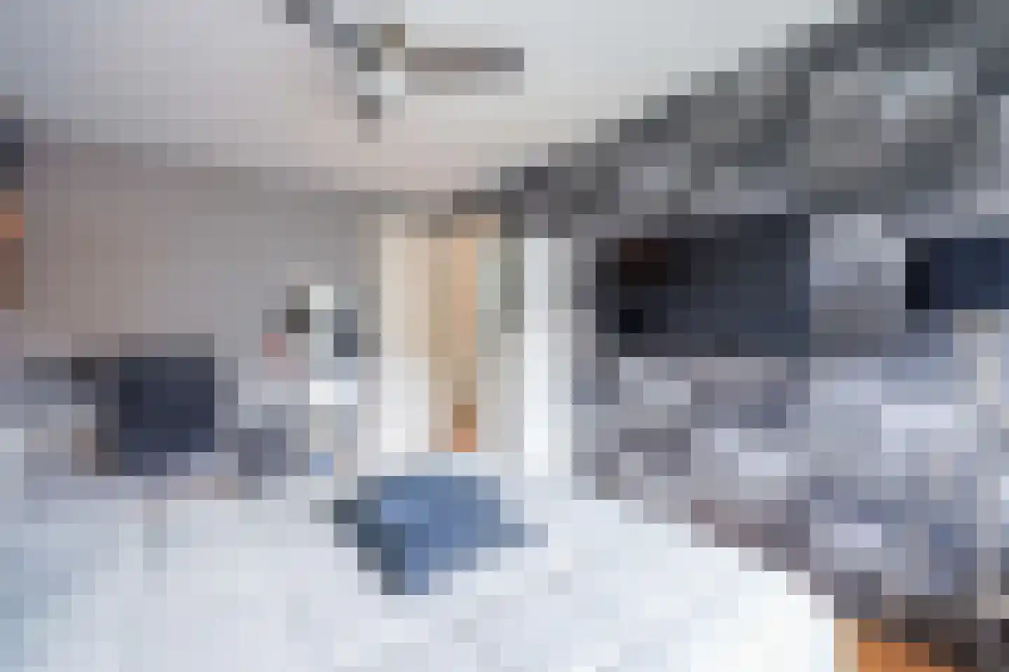 Melis Stokelaan 11 Beverwijk thumbnail 43