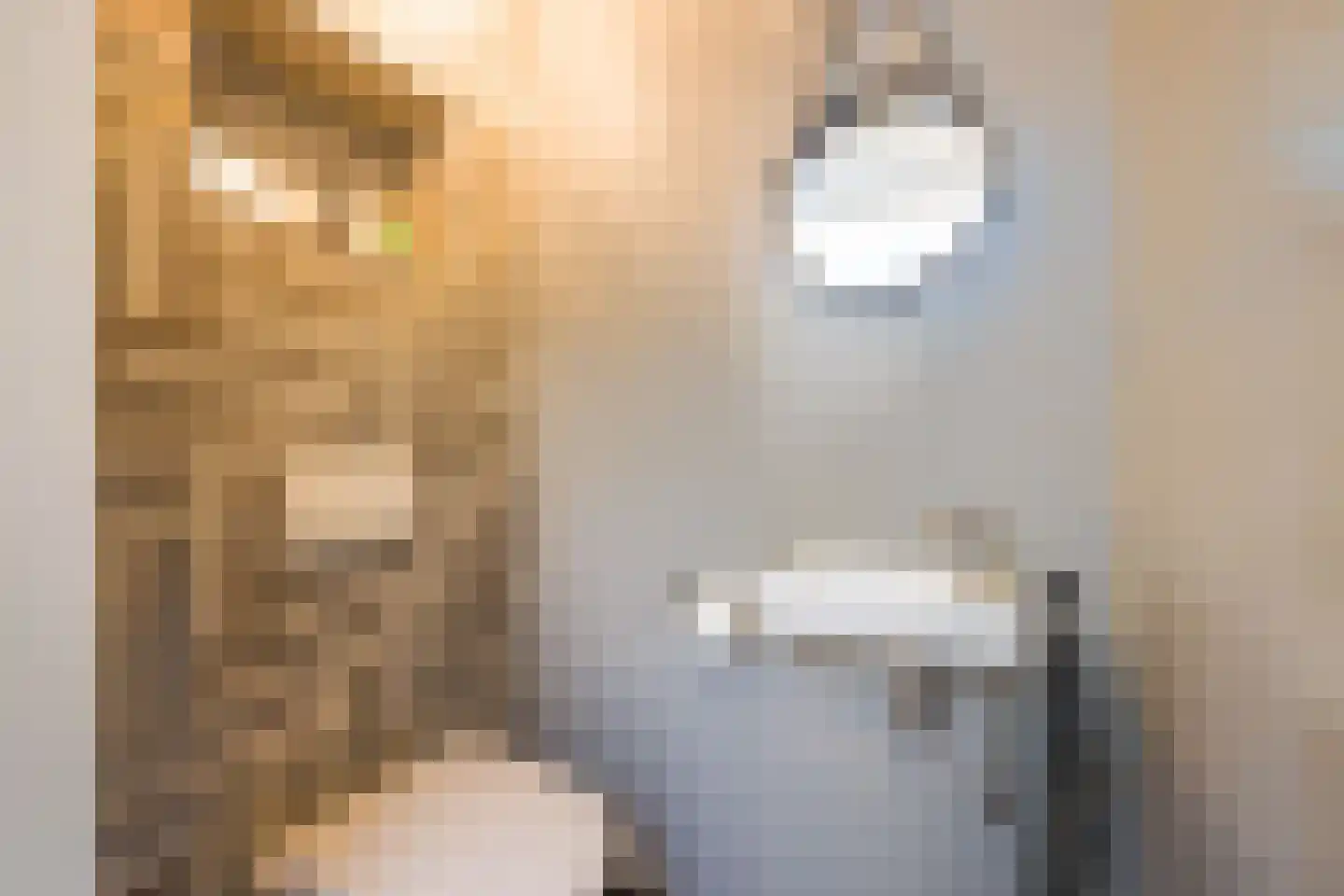 Melis Stokelaan 11 Beverwijk thumbnail 53