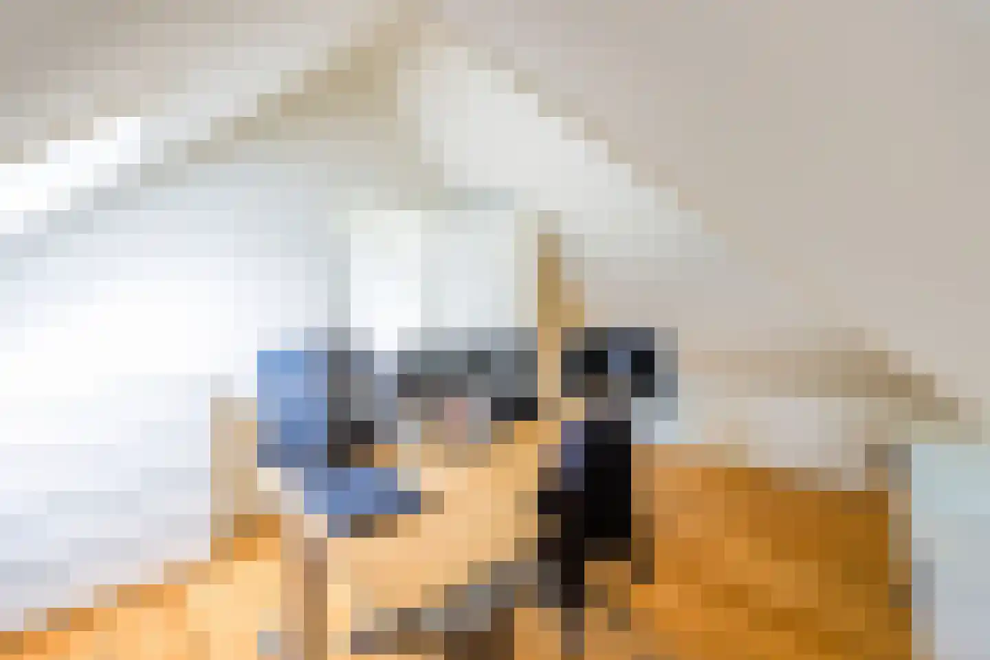 Melis Stokelaan 11 Beverwijk thumbnail 61