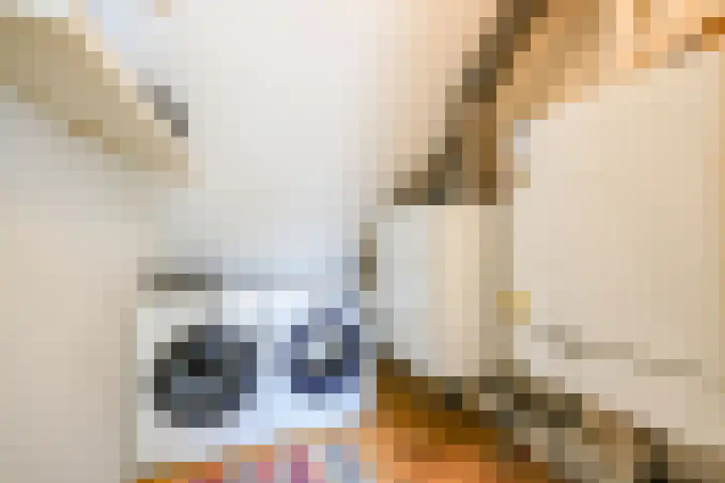 Melis Stokelaan 11 Beverwijk thumbnail 63