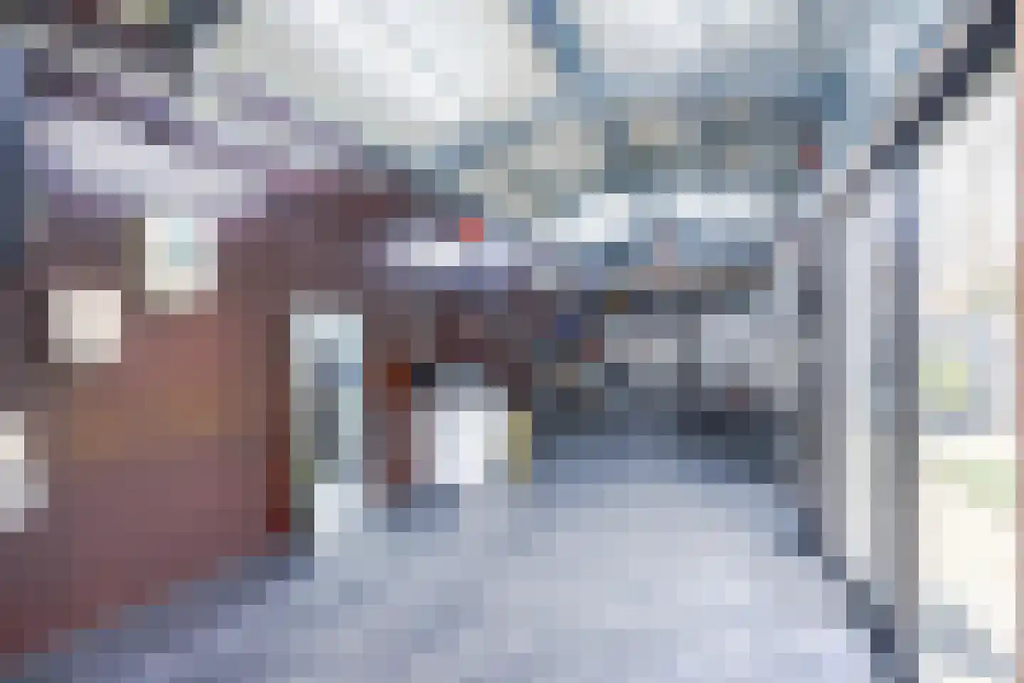 Melis Stokelaan 11 Beverwijk thumbnail 64