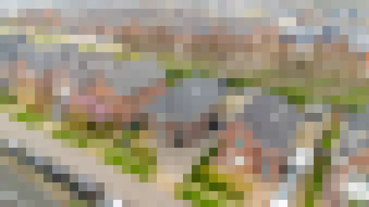 Melis Stokelaan 11 Beverwijk thumbnail 68