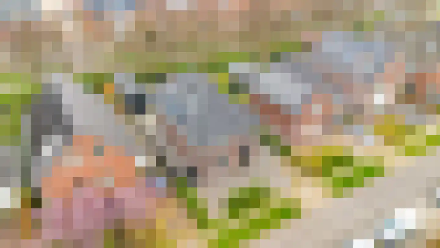 Melis Stokelaan 11 Beverwijk thumbnail 69
