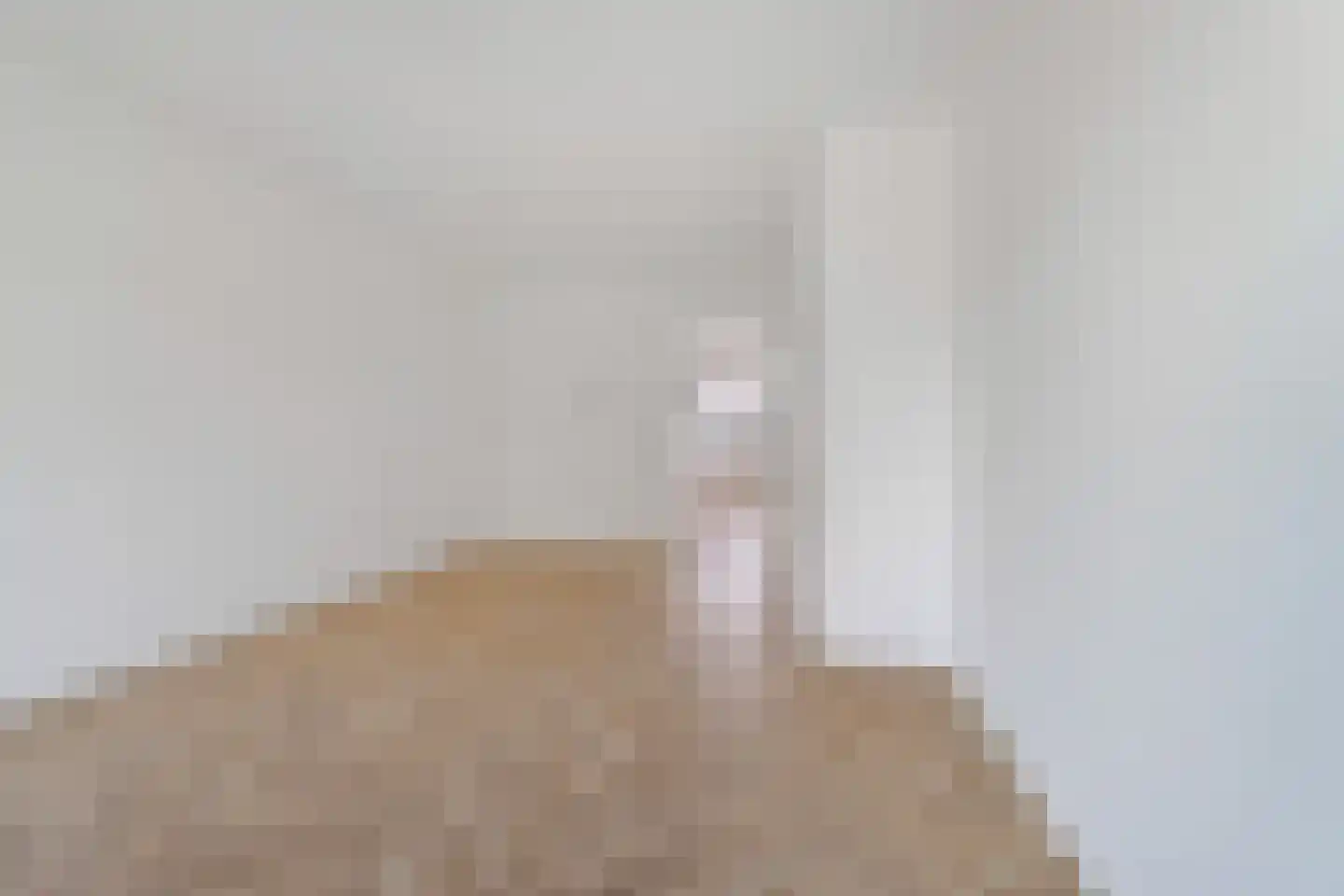 Melis Stokelaan 1624 Den Haag thumbnail 10