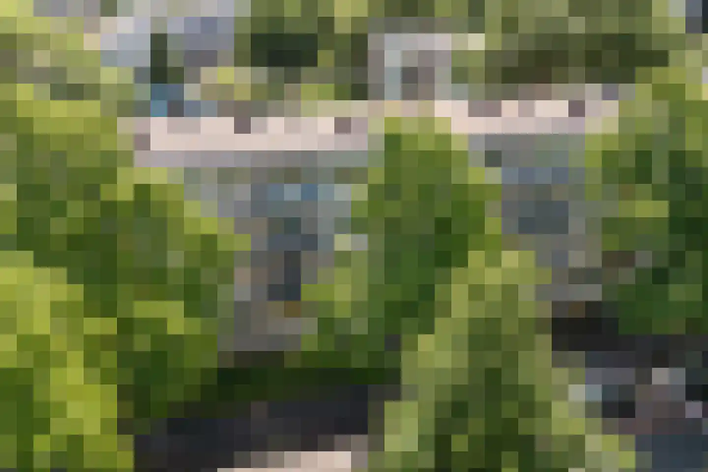 Melis Stokelaan 1624 Den Haag thumbnail 40