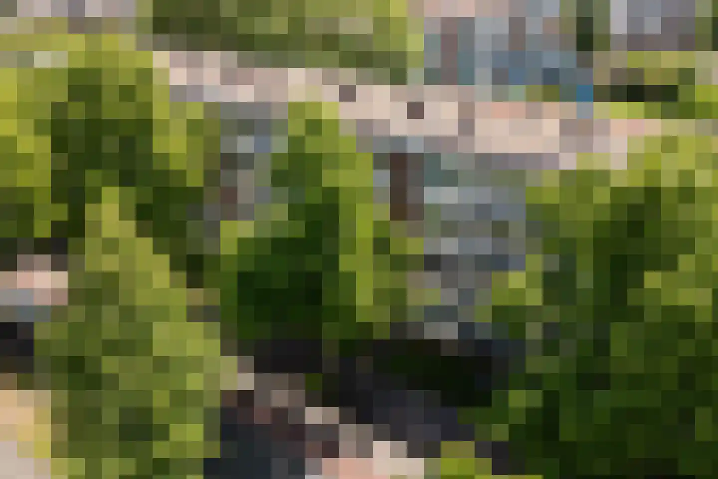 Melis Stokelaan 1624 Den Haag thumbnail 41