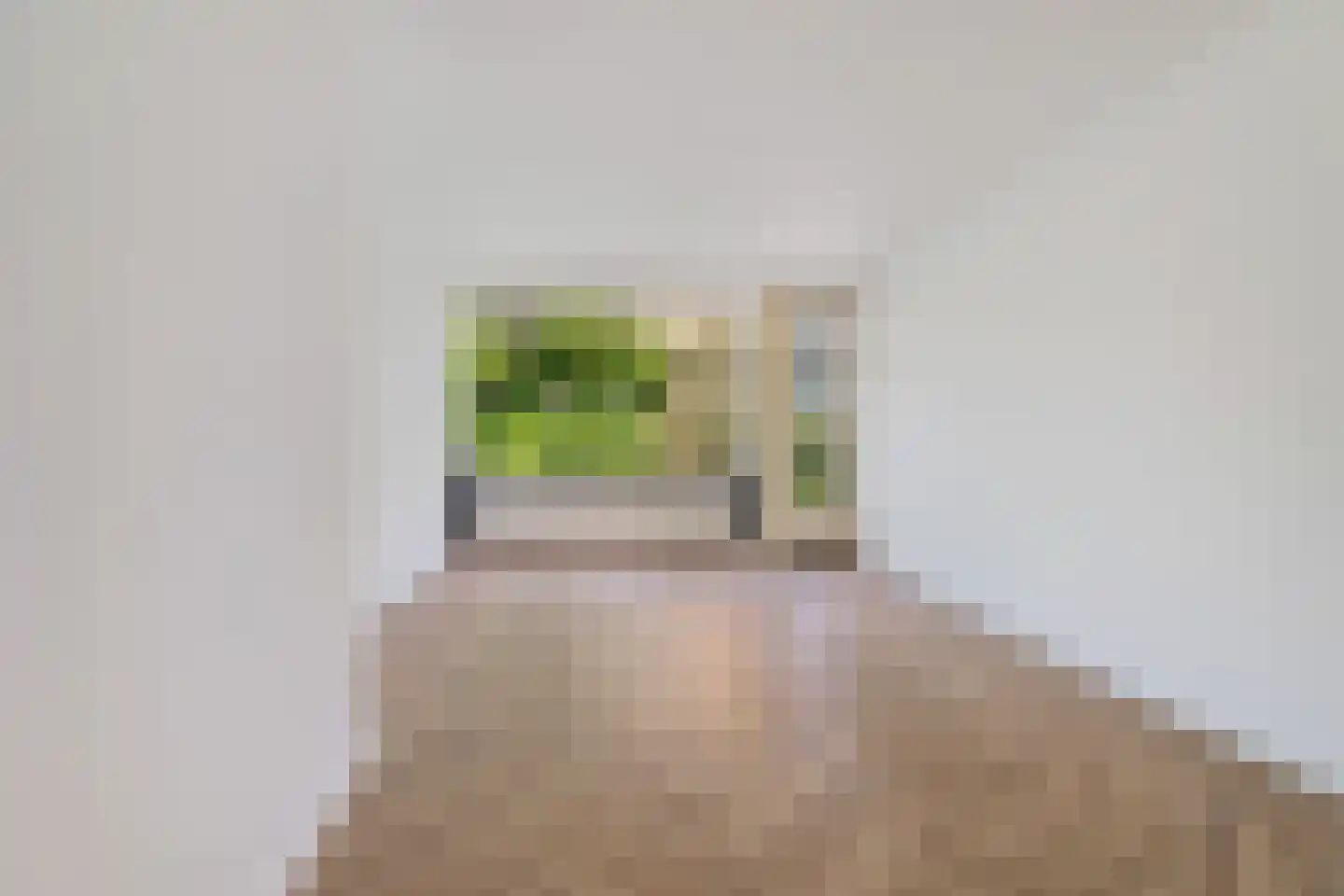 Melis Stokelaan 1624 Den Haag thumbnail 5