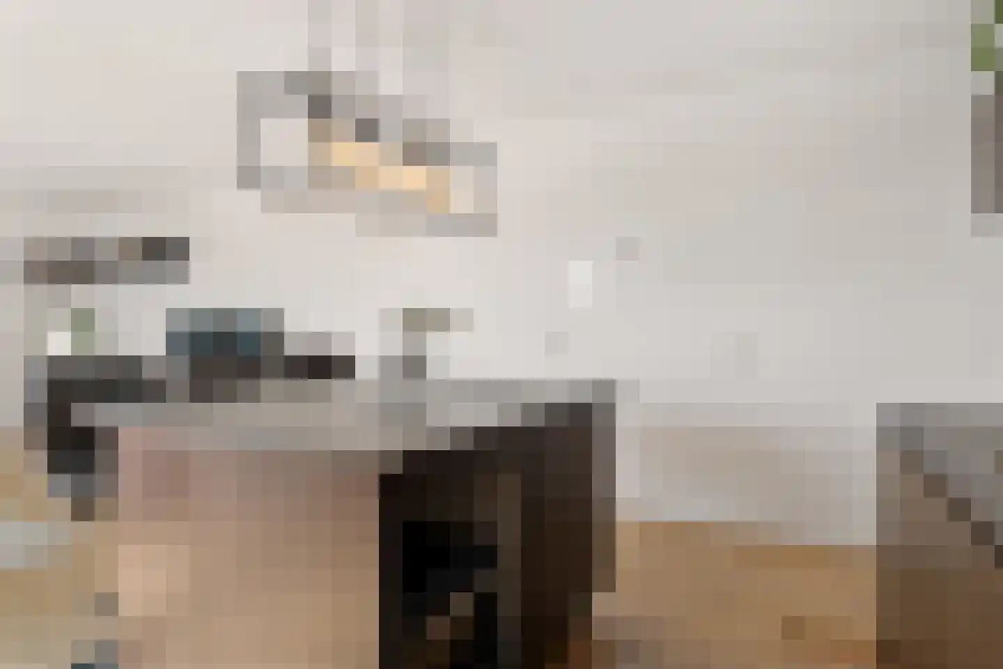 Melis Stokelaan 1870 Den Haag thumbnail 22