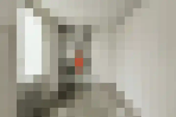Melis Stokelaan 19 Oosterhout thumbnail 25