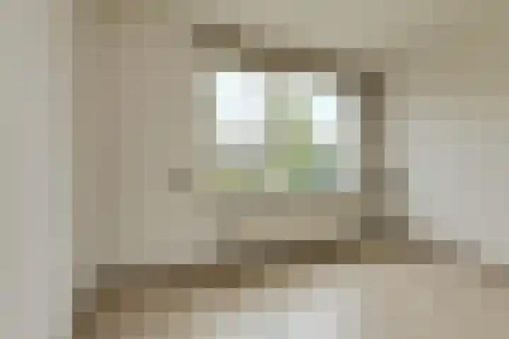 Melis Stokelaan 19 Oosterhout thumbnail 5