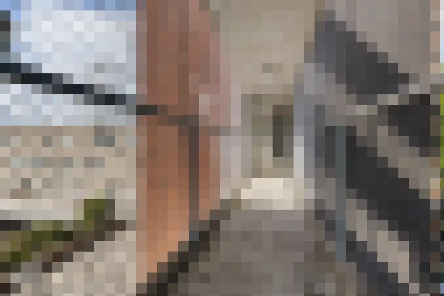 Melis Stokelaan 1916 Den Haag thumbnail 11