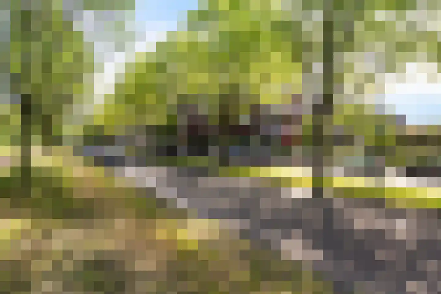 Melis Stokelaan 1916 Den Haag thumbnail 8